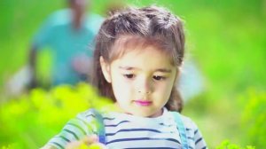 Ремень безопасности