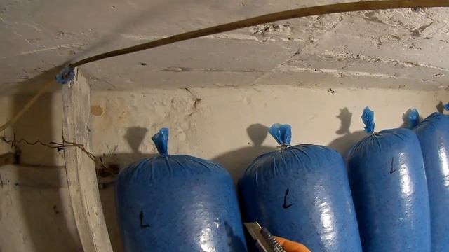 Перфорация Грибных Блоков выращивание грибов Вешенка смотреть онлайн