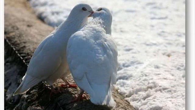 жить, чтобы просто любить