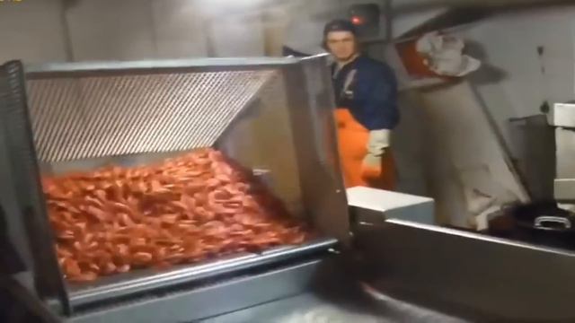 Узнать о креветках всё за 8 минут смотреть онлайн