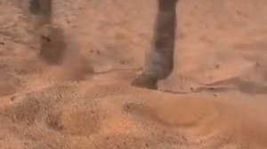 Concord Sport Hotel - отдых в Египте - отель Конкорд Спорт