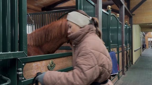 Воспитание молодого жеребца мягкими методами без опыта работы с лошадьми смотреть онлайн