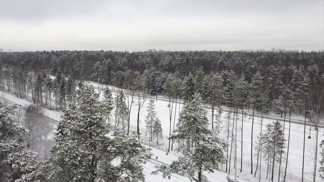 Прогулка в лесу Ново-Переделкино смотреть онлайн