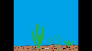 Аквариум Урок1