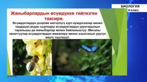 6 класс - КГ - Биология - №2 - Жандуу организмдердин жана өсүмдүктөрдүн ар түрдүүлүгү