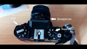 Пленочная фотография с нуля//Проявка фотопленки//Настройки камеры//Подбор пленки!