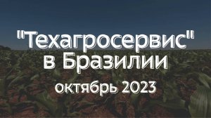 Посещение полей кукурузы, технология No-Till в Бразилии. Проблемы, ошибки, причины.