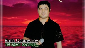 Emin Cebrayilov - Tut agaci boyunca (Menim balam kime neyler)