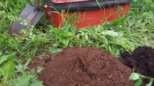 Готовим корм для червя Старатель. Червеферма Купольного Дома Вегетария