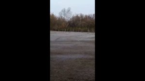 Сдача полигона в ГИБДД Бугульма