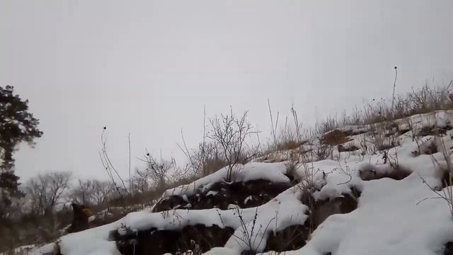 Жигулёвские горы зимний поход на гору Шелудяк/ путешествие смотреть онлайн