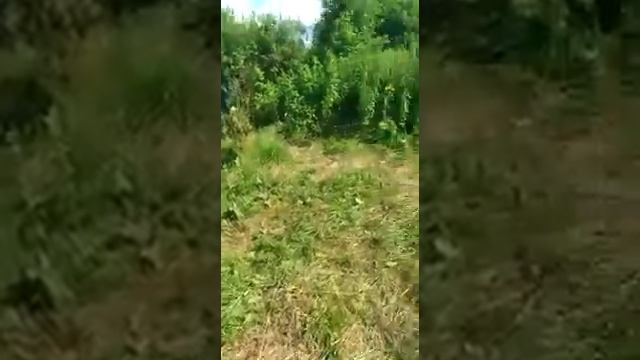 Туту на воркуту! смотреть онлайн