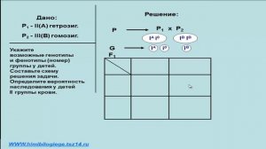 Задача по генетике