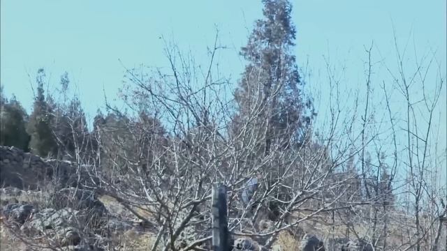 【槍神電影】美女和小夥比武，一招制服他 смотреть онлайн