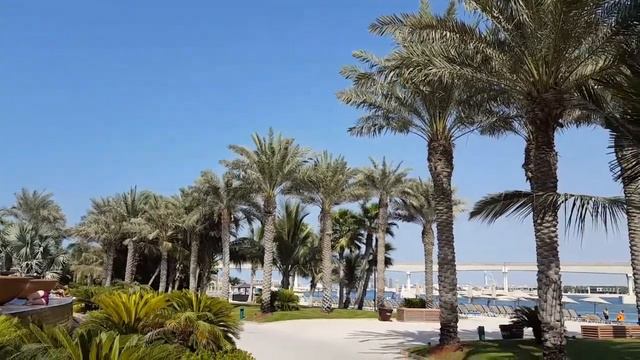 Atlantis, The Palm Dubai Royal Pool смотреть онлайн