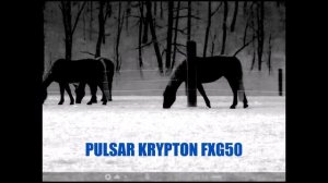 !TEST! PULSAR KRYPTON FXG50 VOx 640x480 @ 12 µm