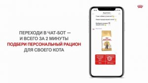 Royal Canin®️ - персональный рацион для кошек на каждый день