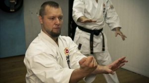 Оkikukai Shohei ryu / Uechi ryu style, the second seminar Sensei Vladimir Popovic in Moscow