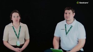 Выращивание рапса: мнение агронома