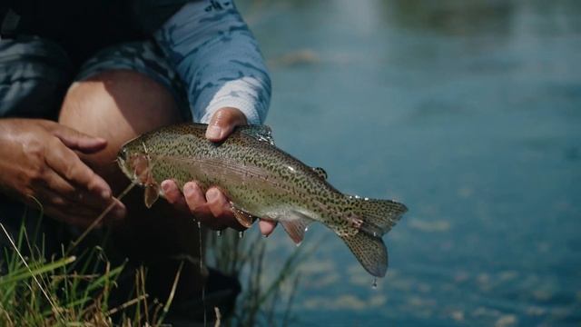 DUO Tetra Works Ultra Light Trout Fishing/MaguroProShop смотреть онлайн