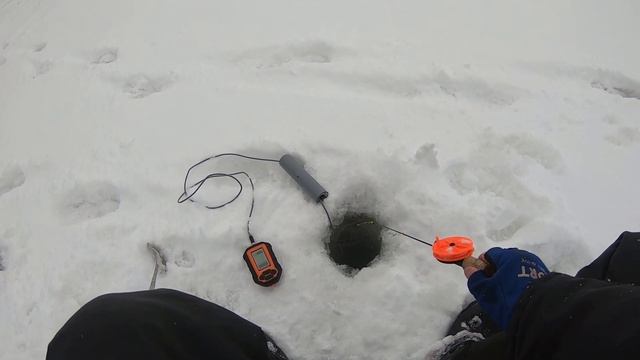 Поездка за плотвой на истринское водохранилище. Ловля плотвы на паровоз из чертей (безмотылки).