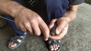 Как ремонтировать моторчик стеклоподъёмника