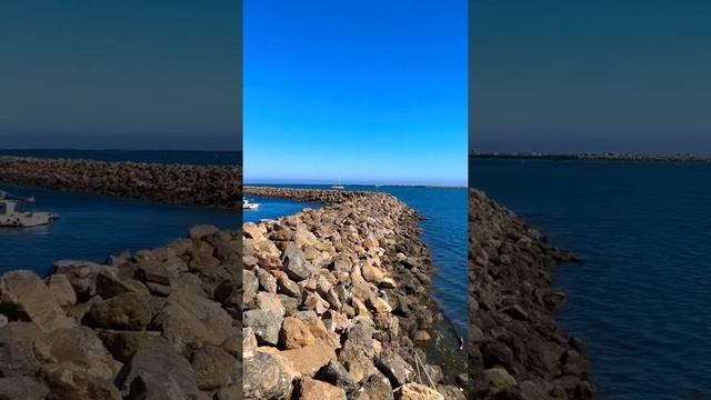 Los Angeles  San Pedro.  #losangeles #sanpedro #nature #documentary  #ocean #sea #usa #travel