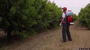 Опрыскиватель Oleo Mac MB 90