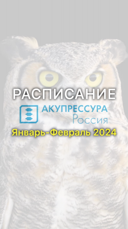 ? Расписание «АКУПРЕССУРА - Россия» Январь - Февраль 2024 #акупрессура #акупрессураподзатылочныхмыш