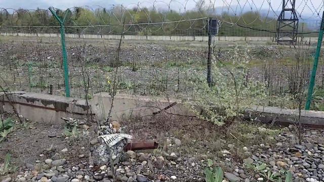 СИРИУС: ДИКИЙ ПЛЯЖ "КРЫЛЬЯ БАЛТИКИ" | Субтропический рай в отдельно взятом городе