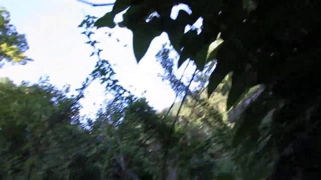 Китайский ямс