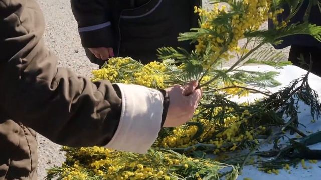 Стихийная торговля цветами смотреть онлайн