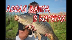 Ловля карпов на диком озере