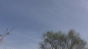 ОТКРЫЛ РЫБАЛКУ НА УДОЧКУ 2023 ГОД АПРЕЛЬ!