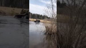 квадроцикл Соболь