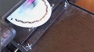 Струйный керамический принтер в действии, печатаем на овале. В конце производим обжиг овала.
