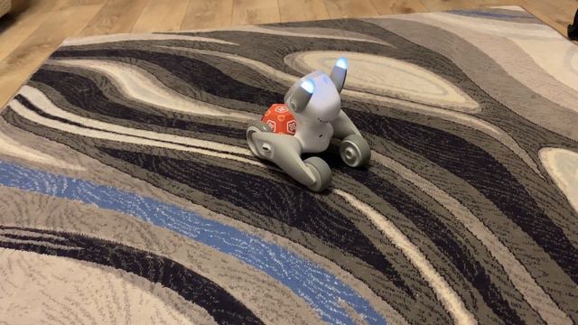 Слово пацана! Первый русский обзор робота loona! смотреть онлайн