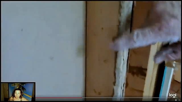 ИНСПЕКЦИЯ НЕ НАШЛА ТЕРМИТОВ?? .КОСЯКИ В США смотреть онлайн