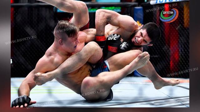 Ислам Махачев победил американца Добера смотреть онлайн