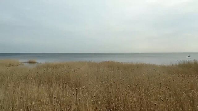 Разорванное кольцо. Ладога. Дорога жизни.