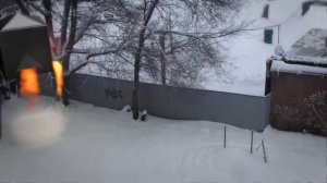 Инопланетный гость