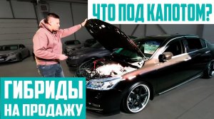 Гибридные авто на авторынке Хабаровска в 2022 году. Что везут на Зеленый угол и в Хабаровск