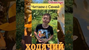 Обзор книги Ходячий замок