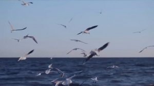 Не возвращайтесь  в прошлое.