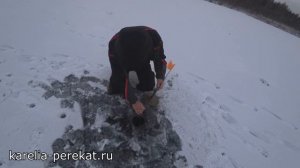 Ламбушки!#рыбалка_в_карелии#зимняя_рыбалка#отдых_в_карелии#услуги_егеря#гостевой_дом_перекат