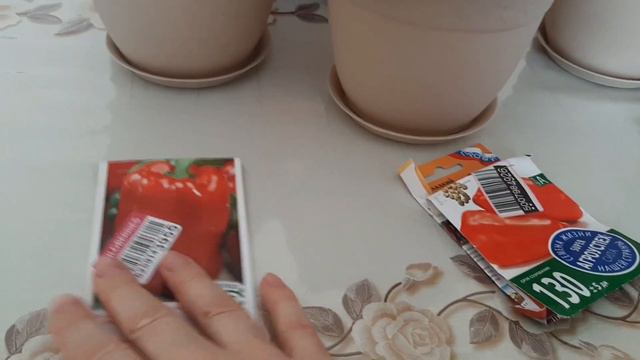 Сажаю перец на рассаду. Февраль 2024. смотреть онлайн