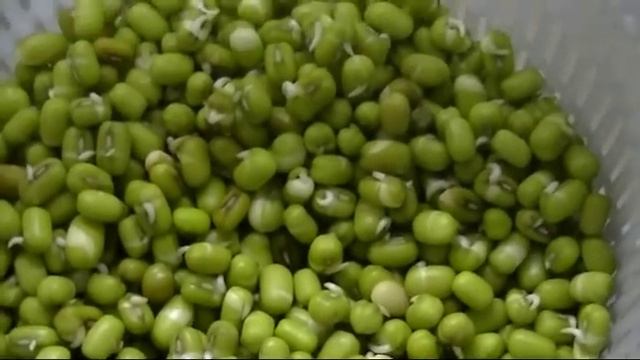 Как проращивать зерно. Моя полочка-тепличка. смотреть онлайн