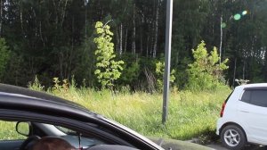 Автомобильный пылесос. Помощник или пустая трата денег? BLACK and DECKER, ADV1200