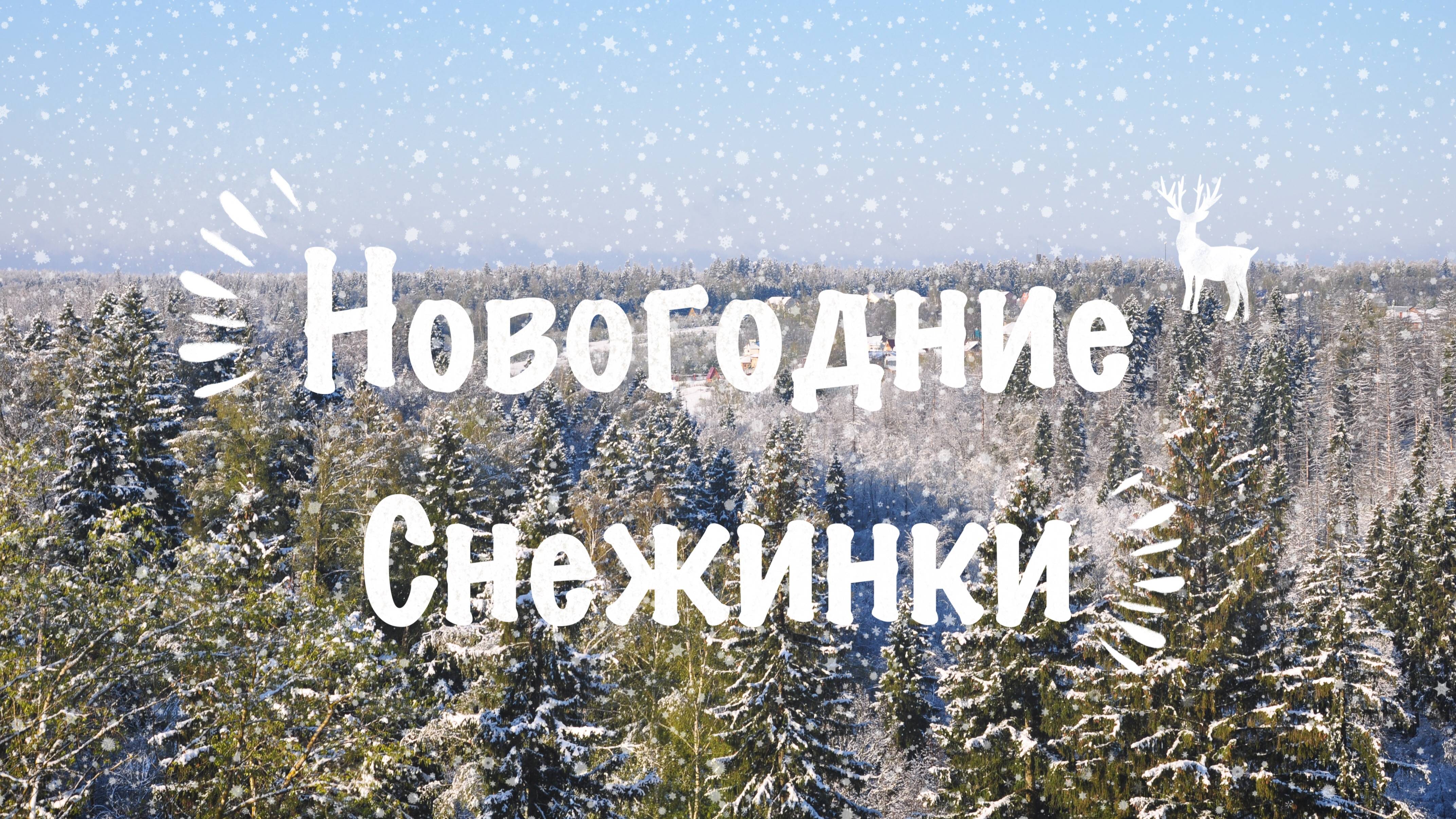 Новогодние Снежинки