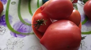 Томаты: Будёновка,  Севрюга, Японка, Абаканский розовый. Обзор и дегустация в сравнении.